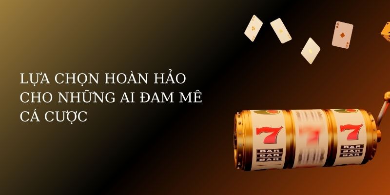 Lựa chọn hoàn hảo cho những ai đam mê cá cược